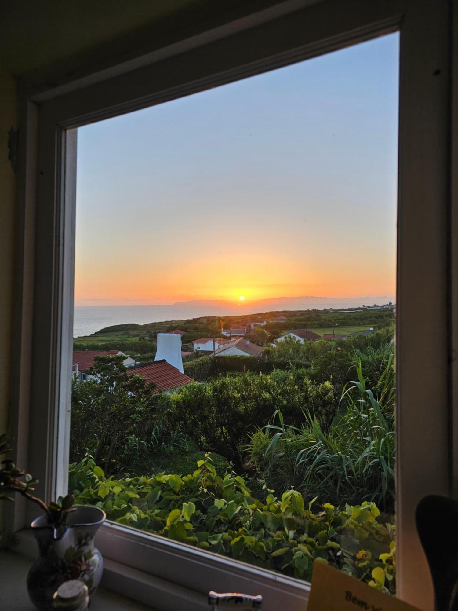 Casa Anjos Holiday Cottages Cedros المظهر الخارجي الصورة