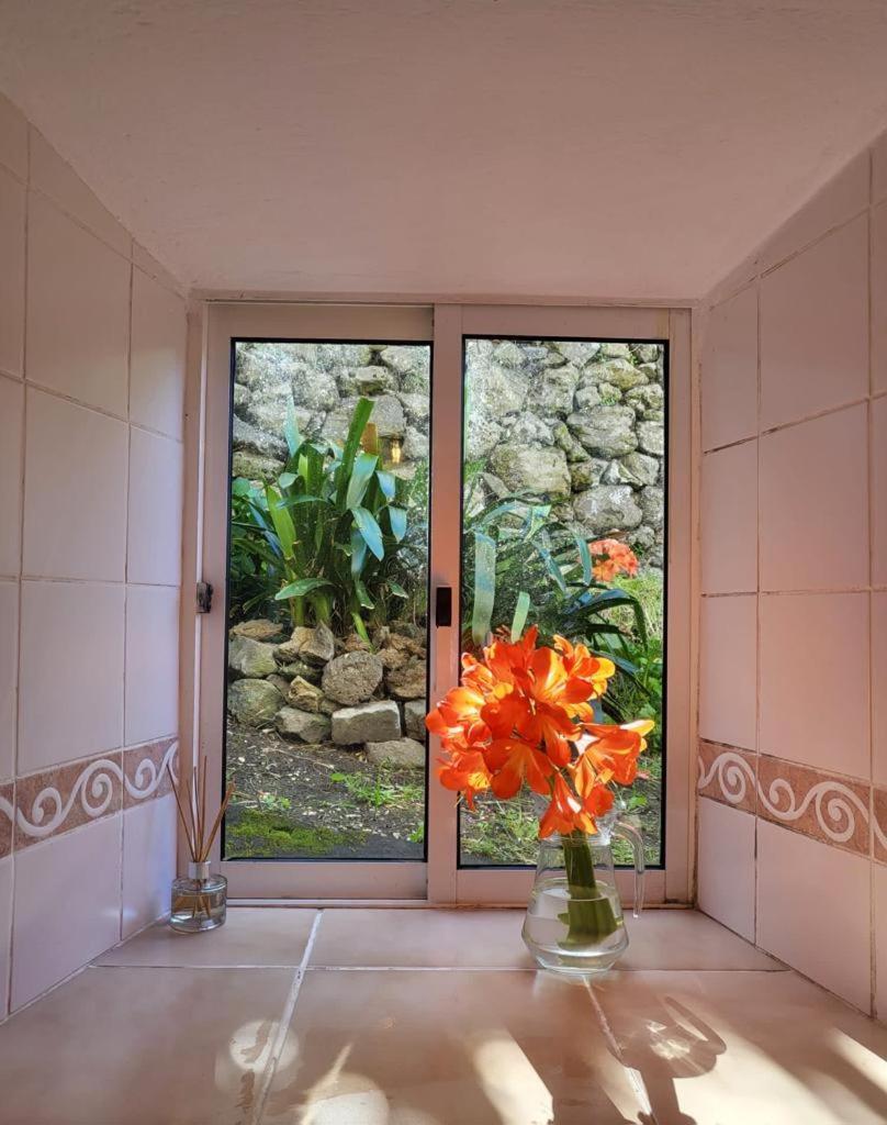 Casa Anjos Holiday Cottages Cedros المظهر الخارجي الصورة