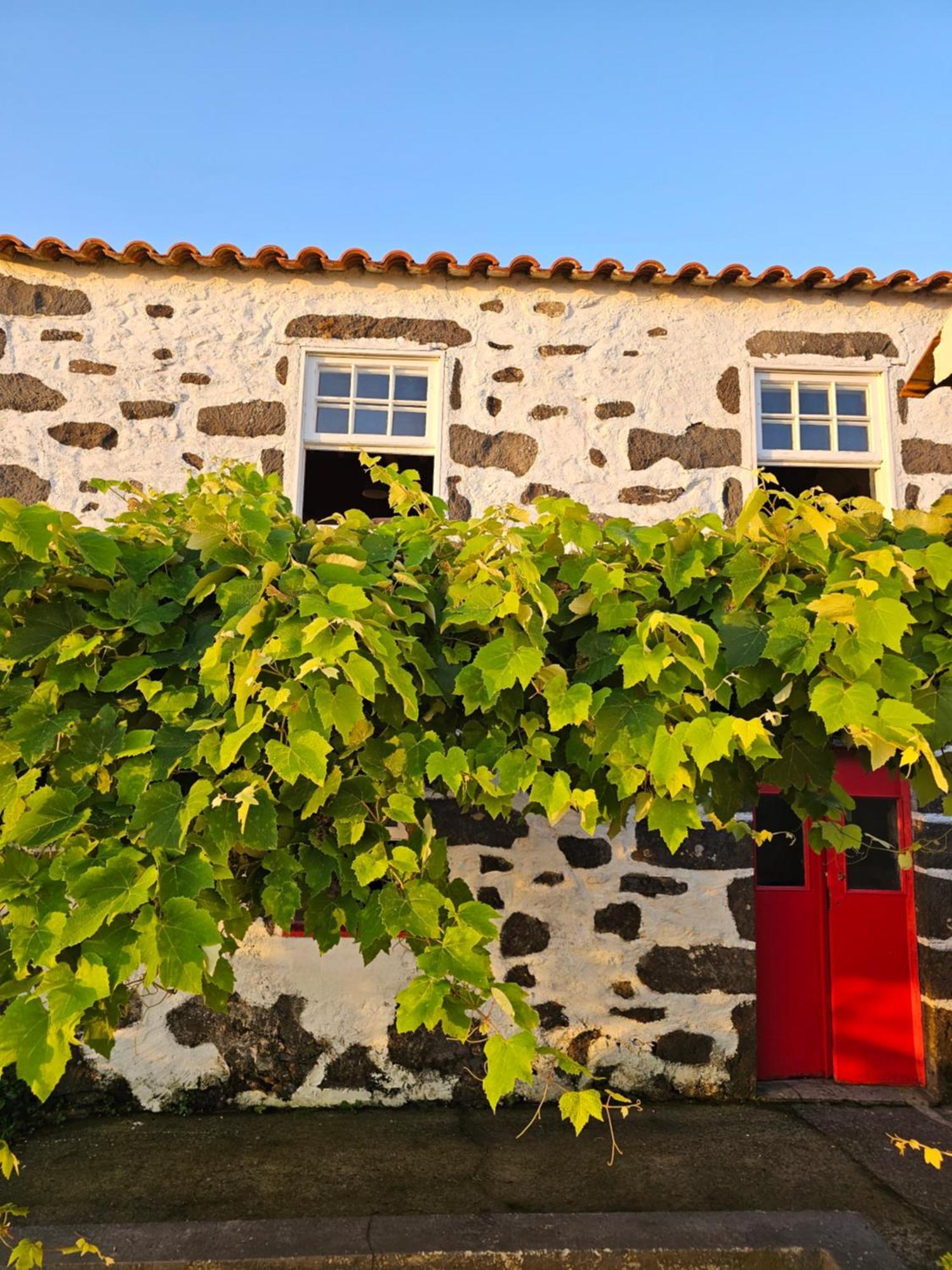 Casa Anjos Holiday Cottages Cedros المظهر الخارجي الصورة