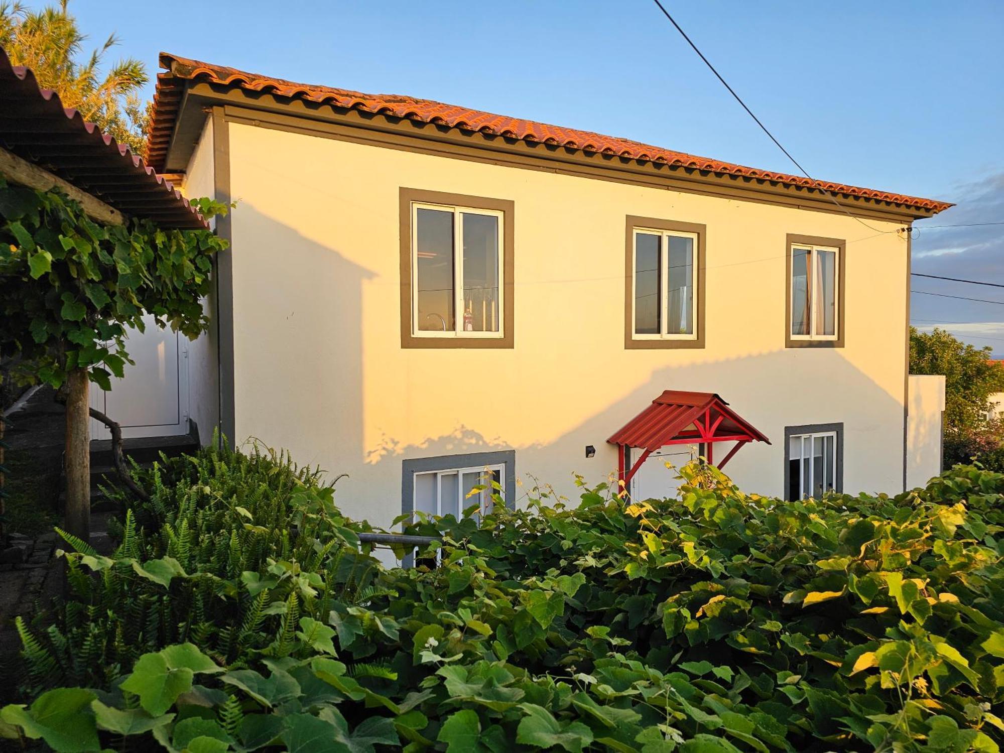 Casa Anjos Holiday Cottages Cedros المظهر الخارجي الصورة